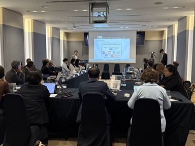 Steve presenting at the WHO-Technical Working Group on Air Quality and Health (TWG-AQH) meeting