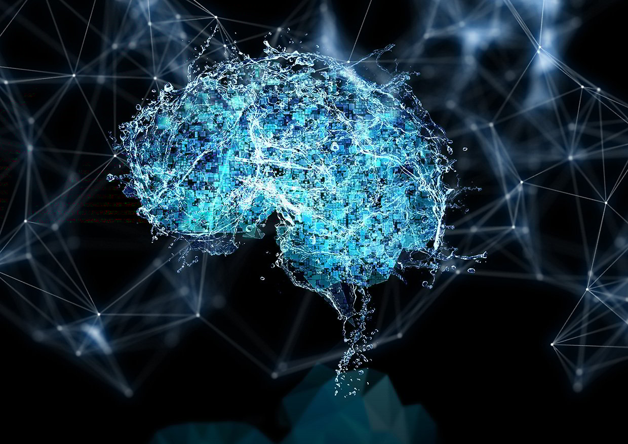 AdobeStock_245860033