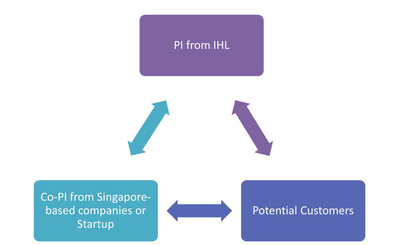 the team structure and the collaboration 