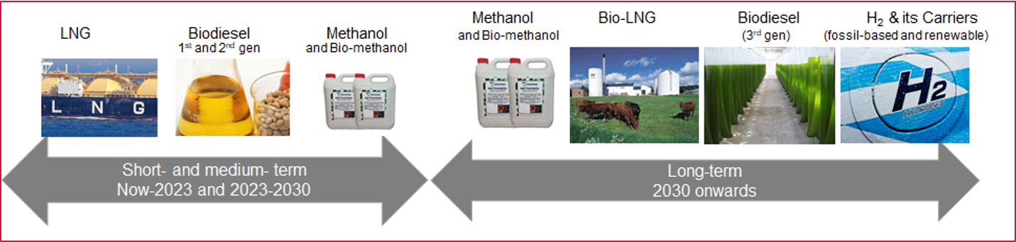future fuel projection for international shipping