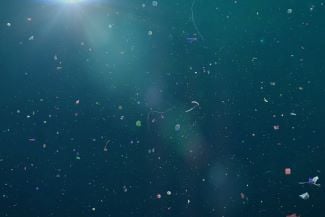 325x217_Microplastics_shutterstock_1505469257