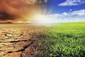 climate_environment_resized_300x200