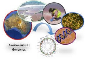 Active Tectonics and Earthquakes Resized 300x200