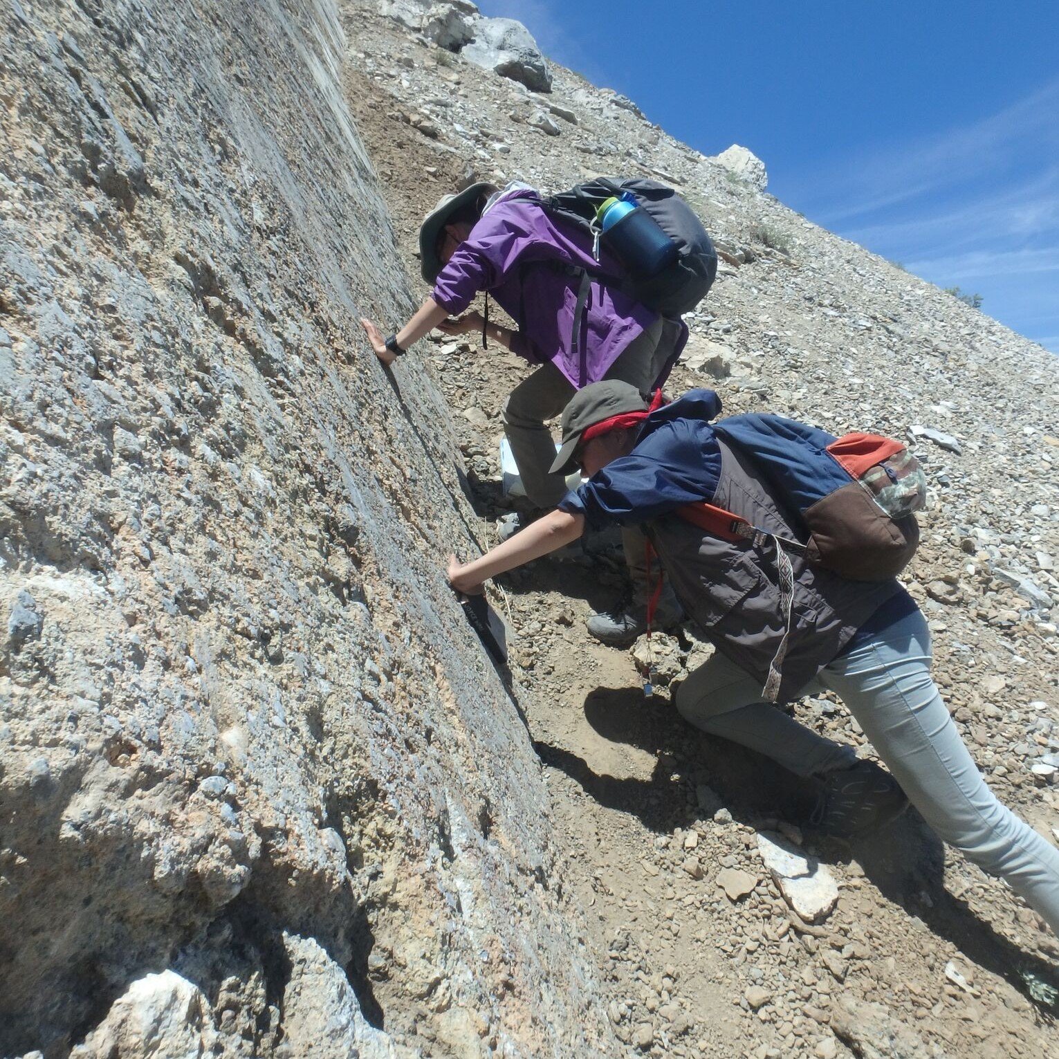 Introductory fieldcourse - rice paddy in Bali