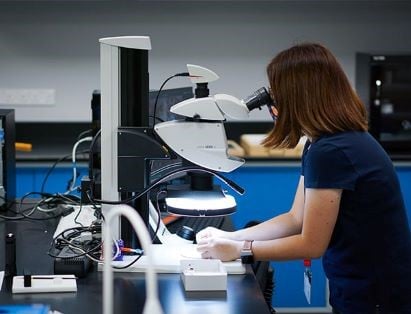 Ong Xin Rui and beetles2