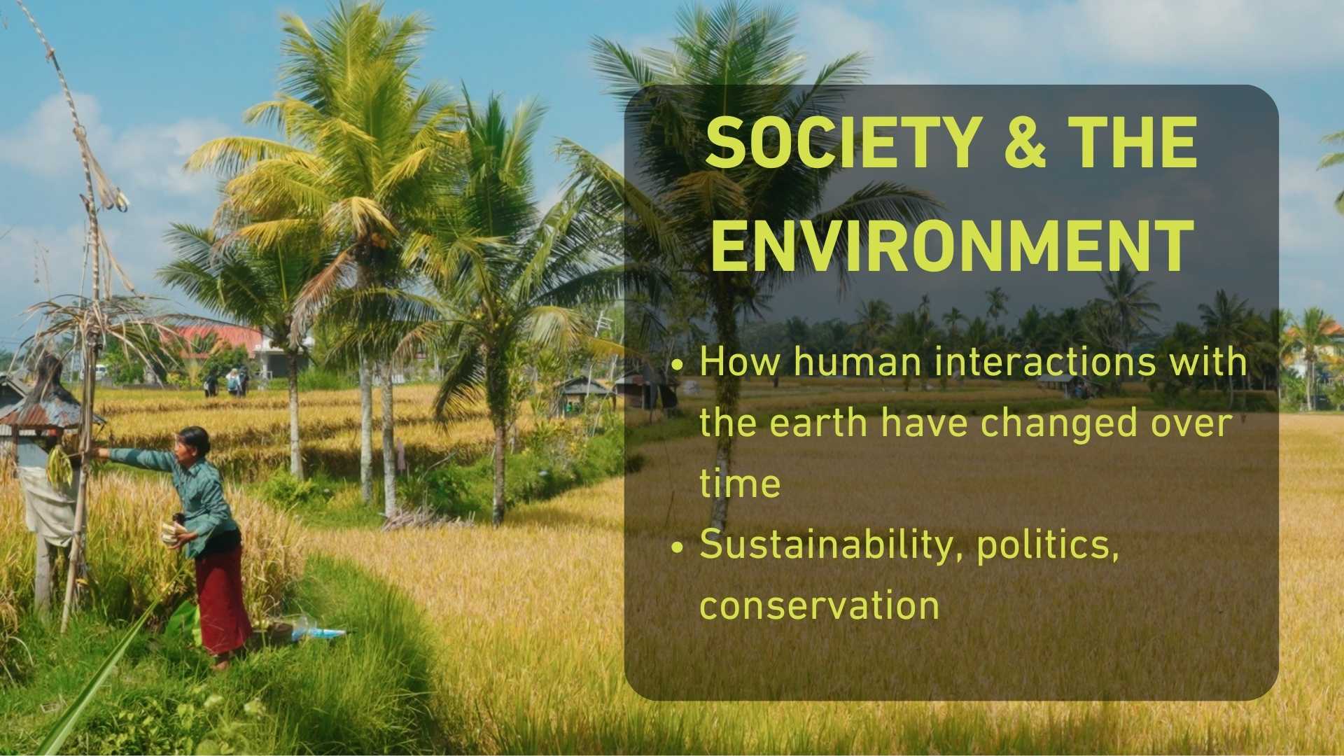 SOCI WEBSITE THUMBNAIL