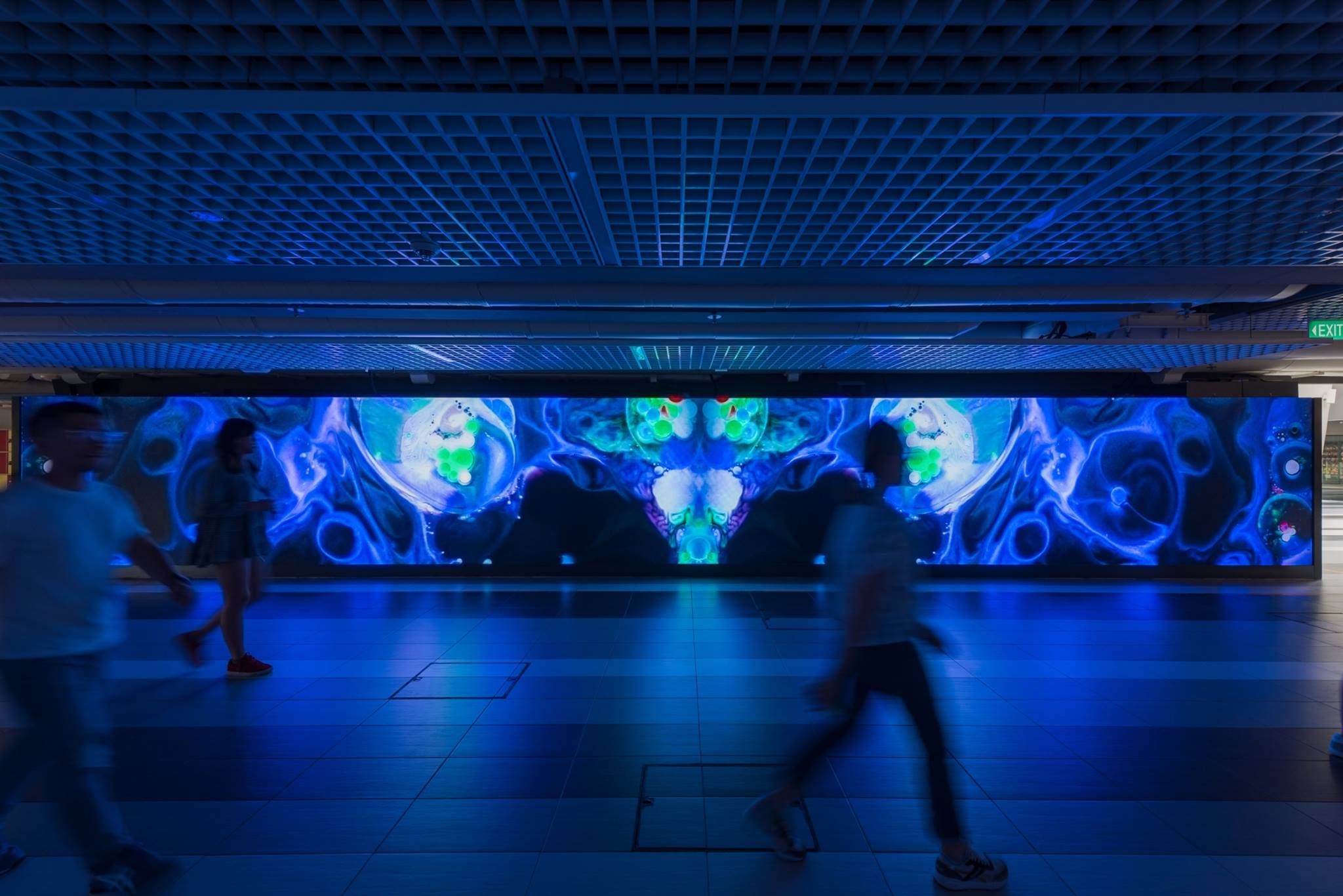 20116998_1932425383449799_987221229621745271_o