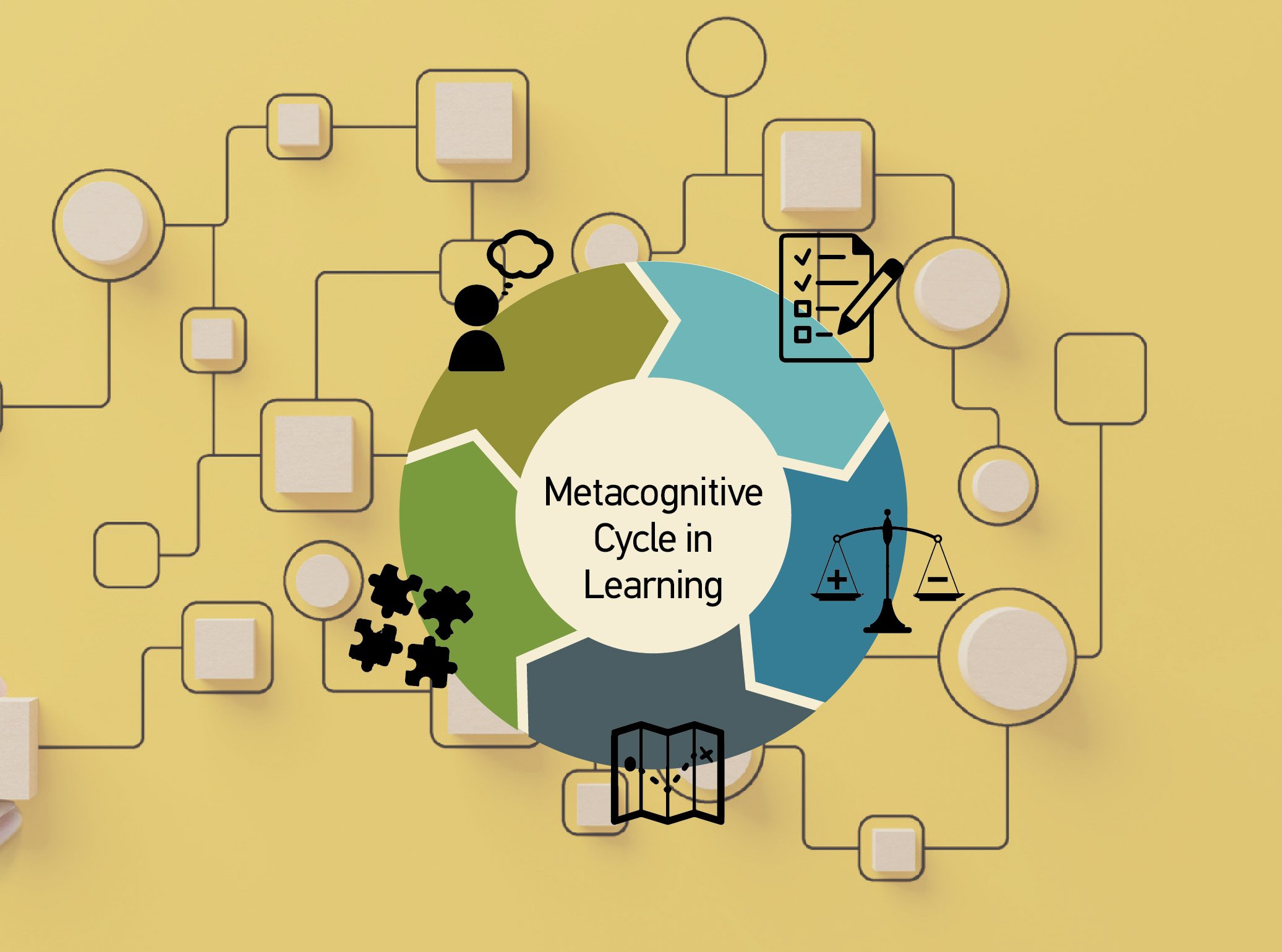 Metacognitive cycle in learning