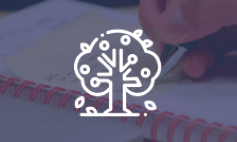 knowledge tree icon