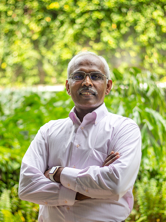 Programme Director of CMT