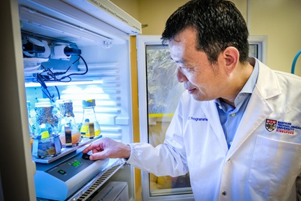 An appetite for food