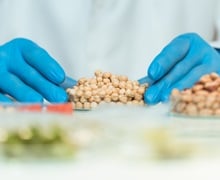 BS 2nd major in food science