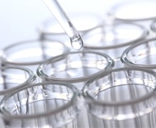 BS 2nd major in Structural Biology