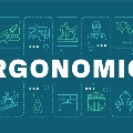 Ergonomics 