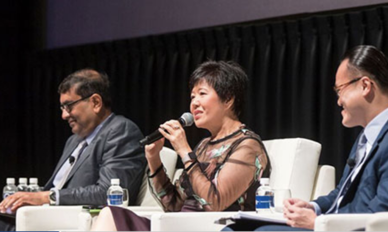 Lady speaking at a seminar organised by the Centre for Accounting and Auditing Research