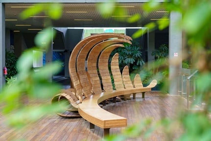 Fern by NTU Community