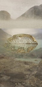 Volcanic Leaf Suspended by Meridel Rubenstein