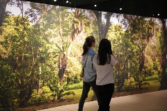 Further Reading: Visitors viewing artwork featuring trees