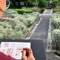 Earth Explorations: Wild Dot sketching Yunnan Garden with natural pigments
