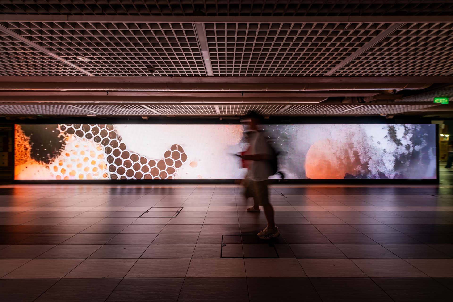 Installation view of Echoes, Whispers and Memories, Mark Chavez and Ina Conradi, 2024-2025. Photo by Quek Jia Ling