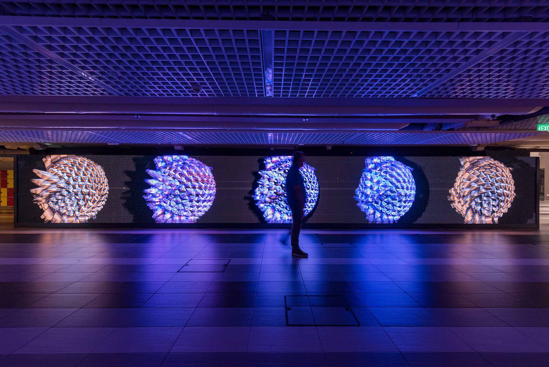 Installation view of Quantonium, Mark Chavez and Ina Conradi, 2017. Photo by Quek Jia Ling