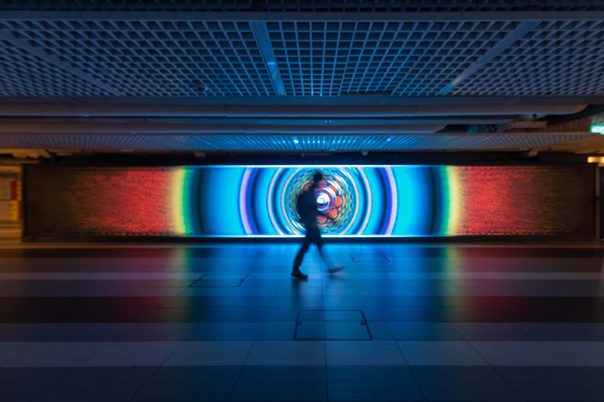 Installation view of Quantum Logos (Vision Serpent), Mark Chavez and Ina Conradi, 2019. Photo by Quek Jia Ling
