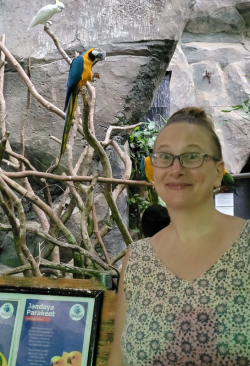 Dr Angela Frattarola