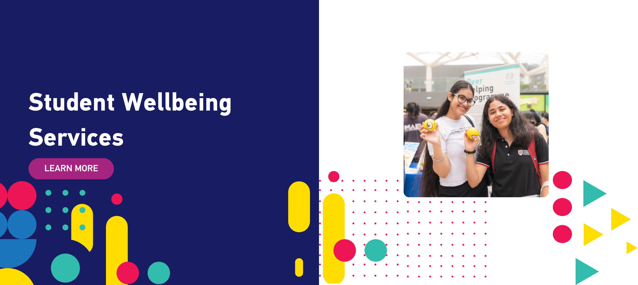 Student Wellbeing Services(Landing Page)