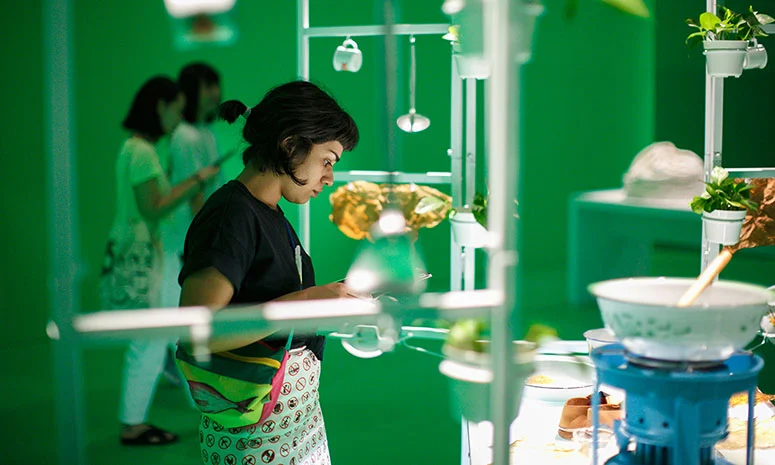 Museum Studies and Curatorial Practices