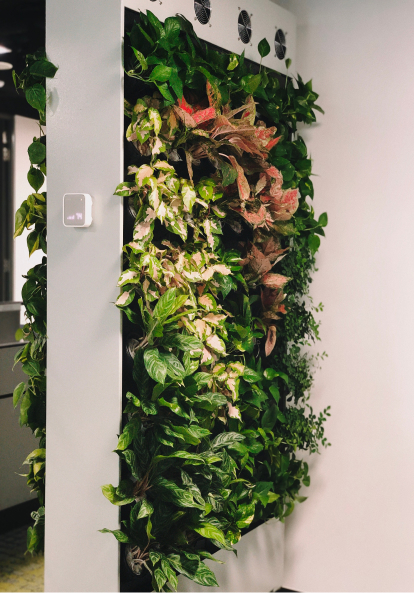 Thermal IAQ project side