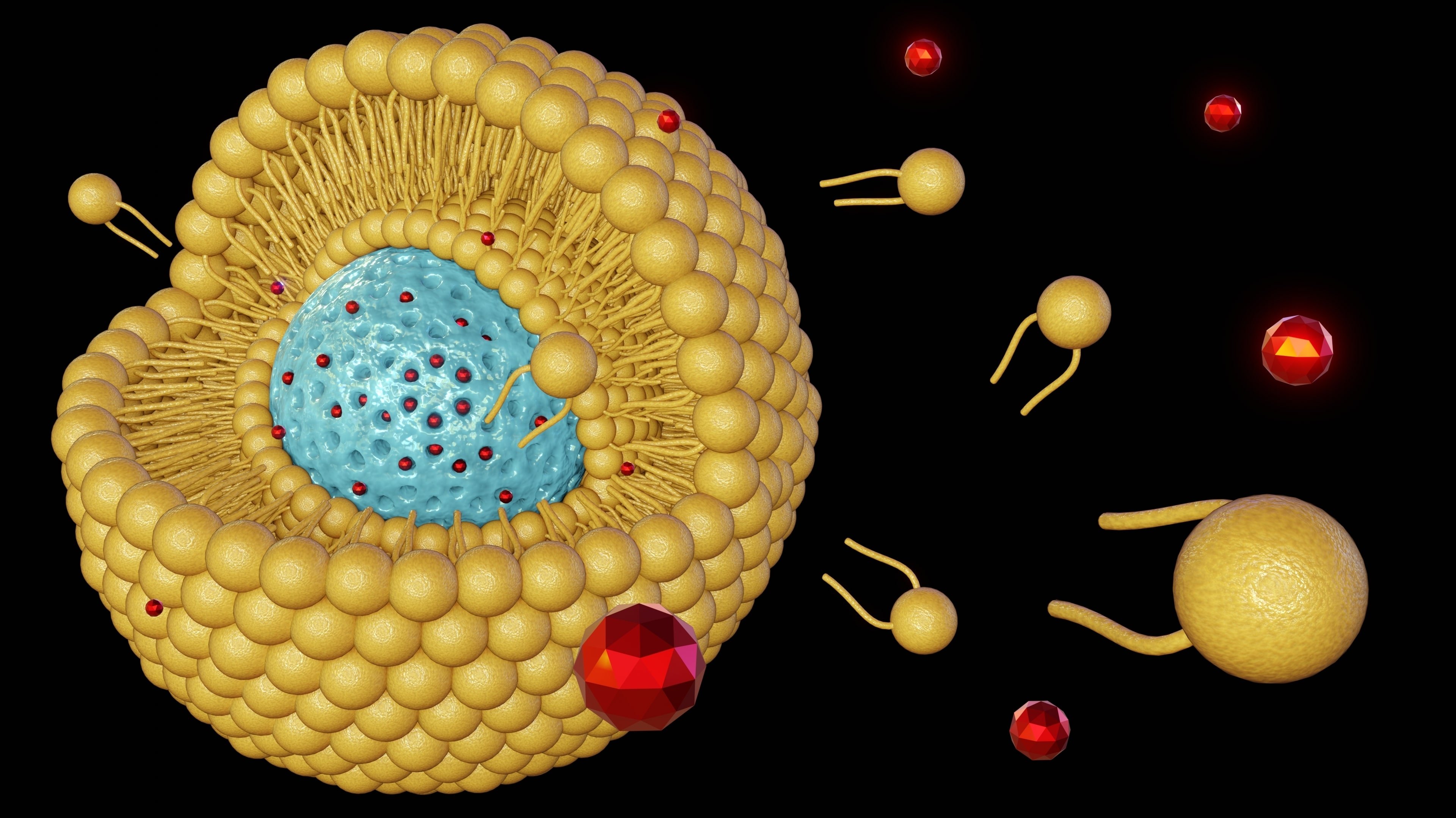 Drug Delivery Systems