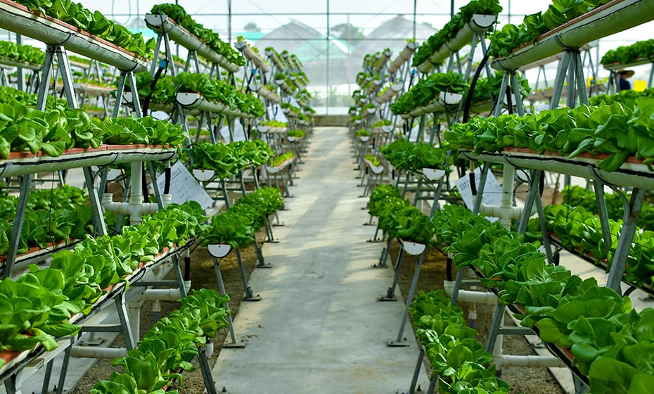 Food, Agriculture and Aquaculture