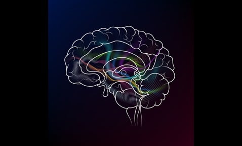 Gait Assessment System