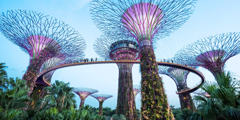 gardensbythebay-singapore-banner.jpg