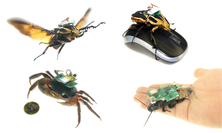 Biohybrid Robot Research Group