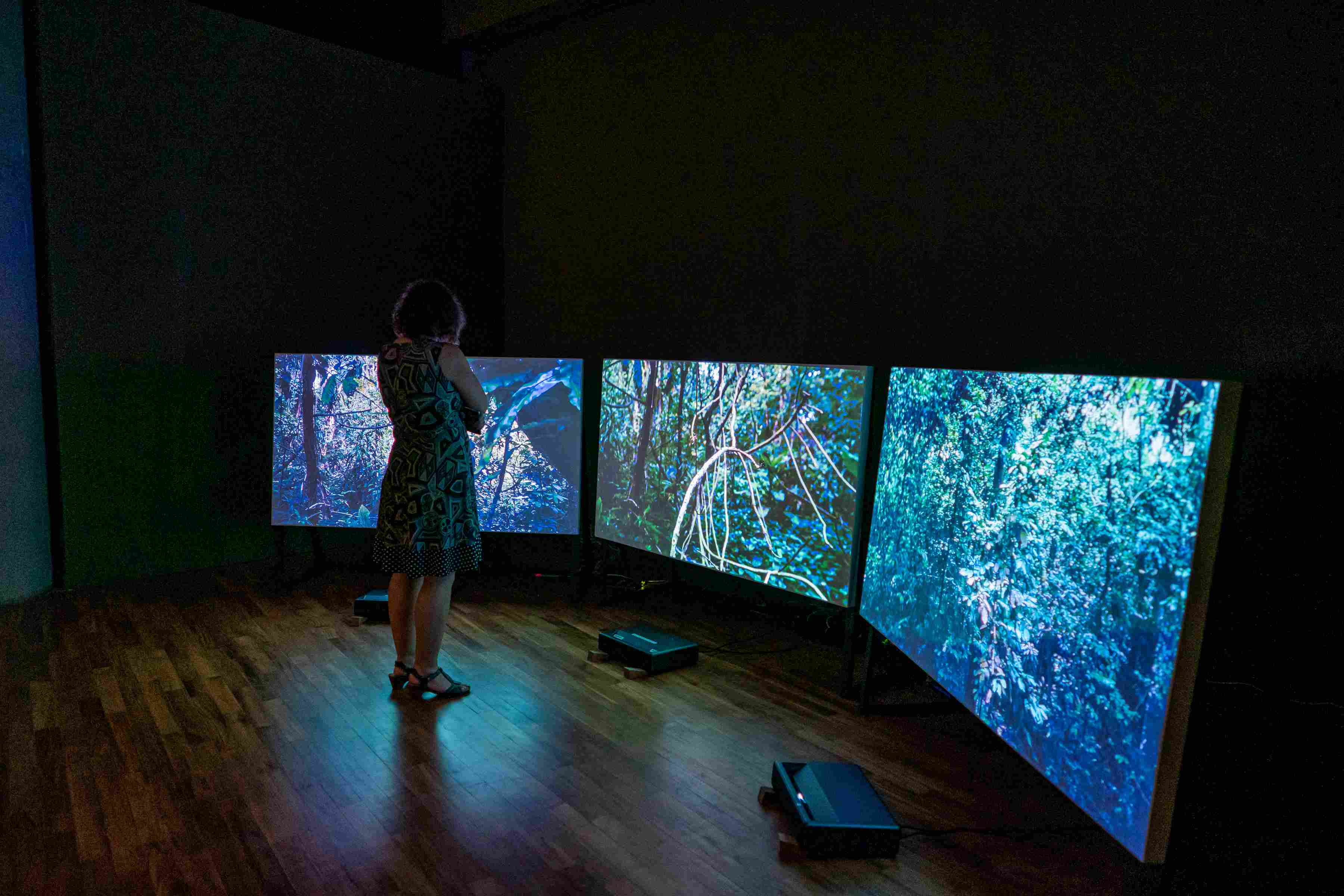 20200116 ADM Gallery Opening Tomorrow is An Island 0092rc