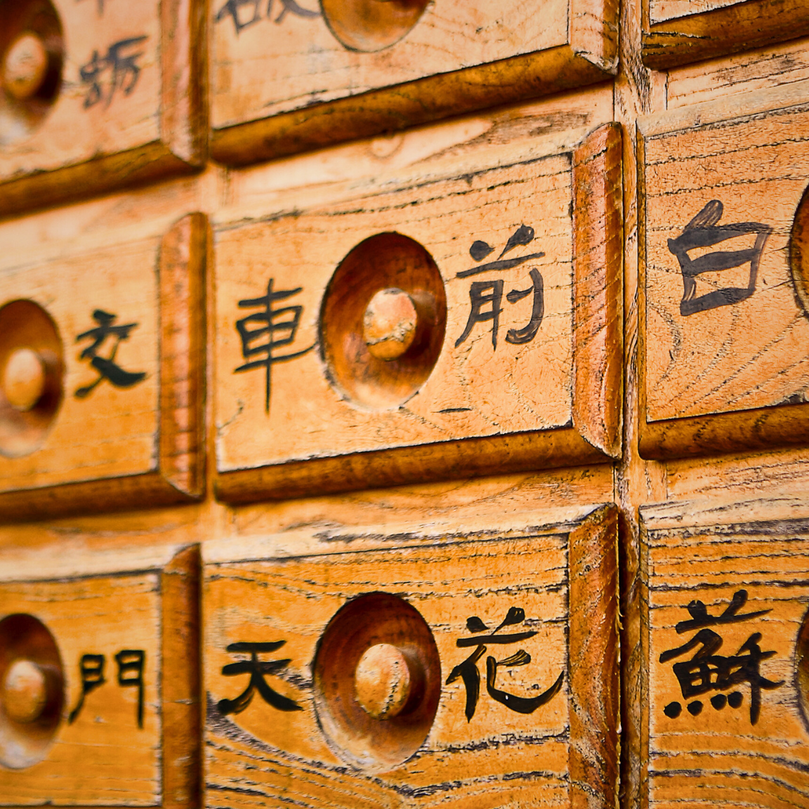 Master of Science in Chinese Medicine