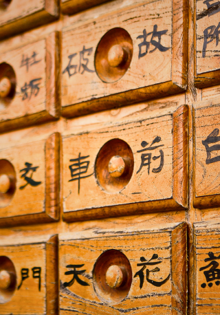 Master of Science in Chinese Medicine