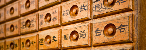 Master of Science in Chinese Medicine