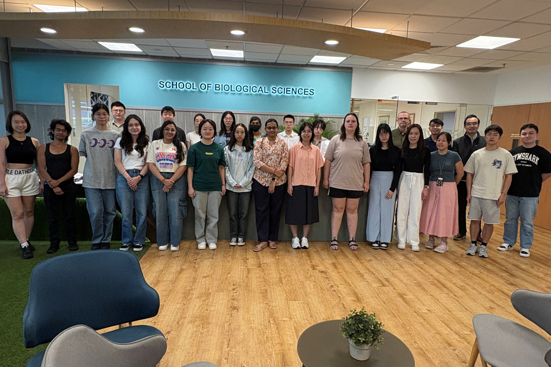 AY2025 Aug Intake Postgrad