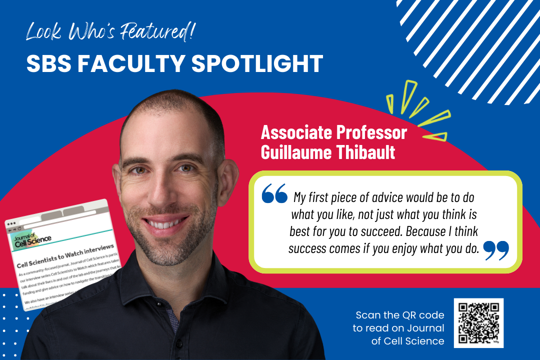 SBS Faculty Spotlight_Guillaume Thibault interview with Journal of Cell Science