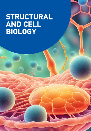 SBS Research Pillar Key Visual for Structural and Cell Biology Mobile Version