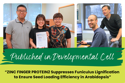 SBS Researchers Ma Wei, Kong Que, Low Pui Man on their paper published in Developmental Cell