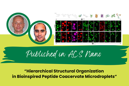 SBS Researchers Konstantin Pervushin, Ali Miserez, Jessica Lim on their paper published in ACS Nano