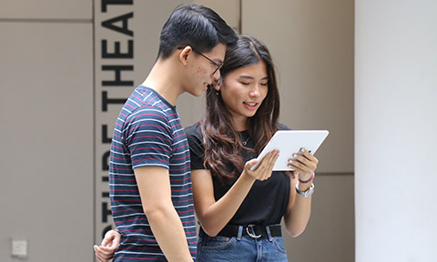 Satisfactory/Unsatisfactory Option