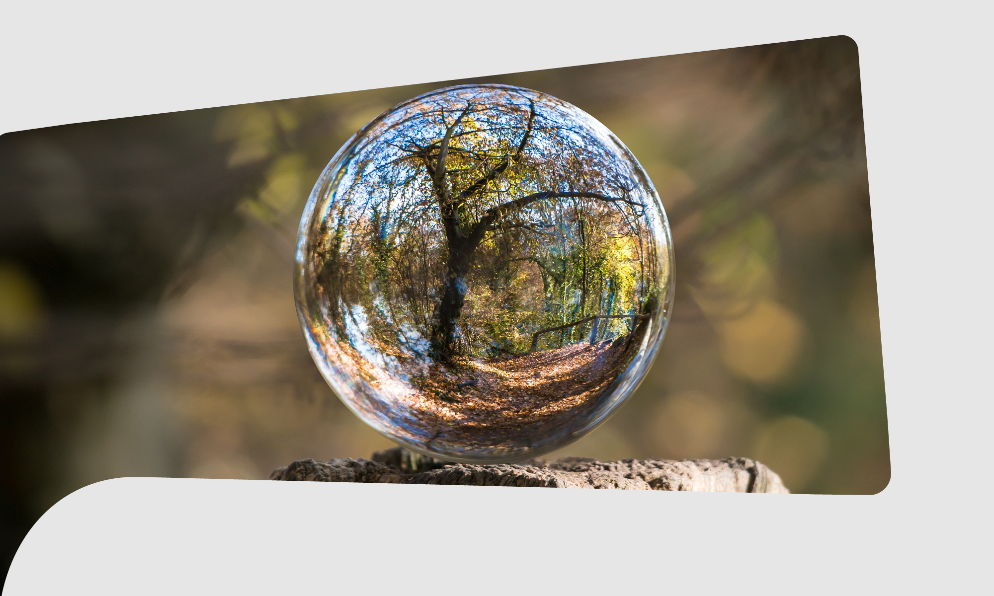 SOH_Interdisciplinary Research_Environmental Humanities_480x288 Interdisciplinary_thumbnail