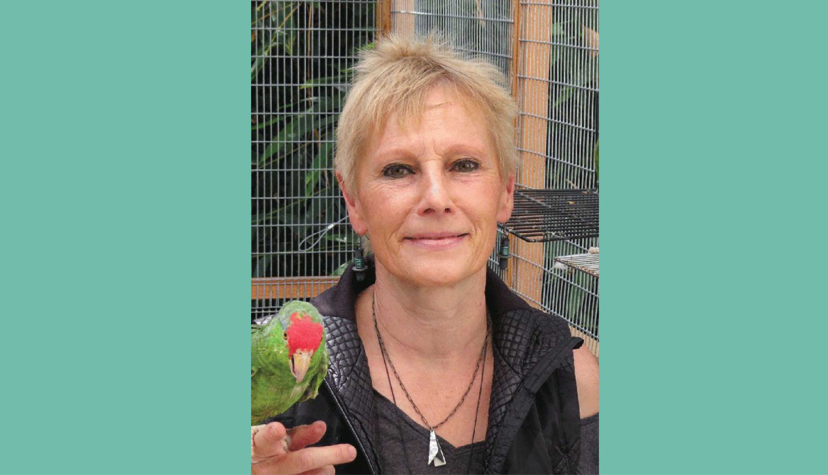 Distinguished - Heise