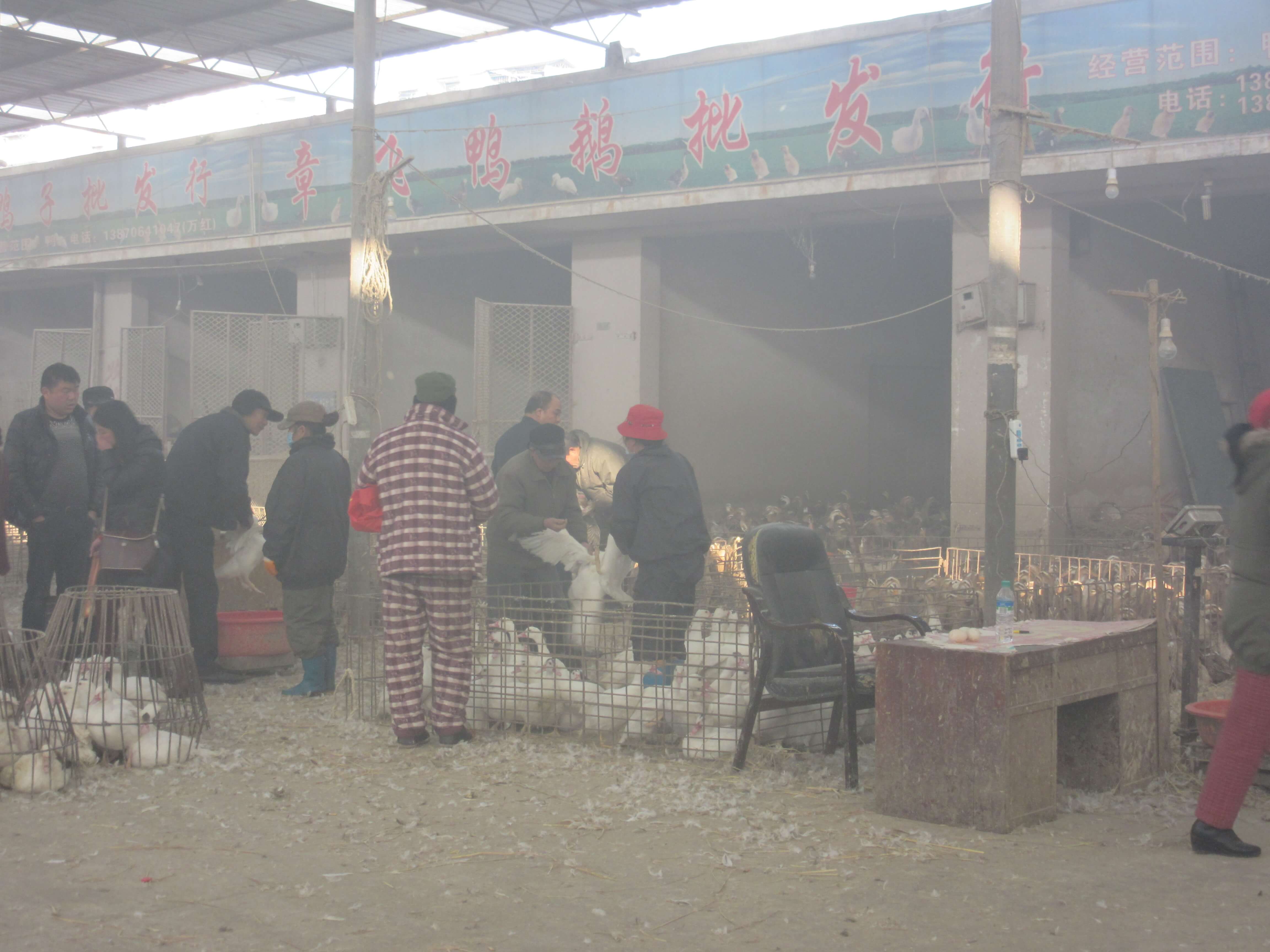 Environmental Humanities_2022-03-28