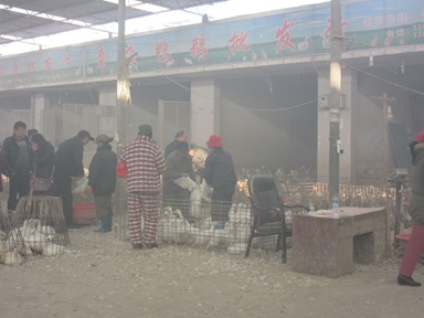 Environmental Humanities_2022-03-28