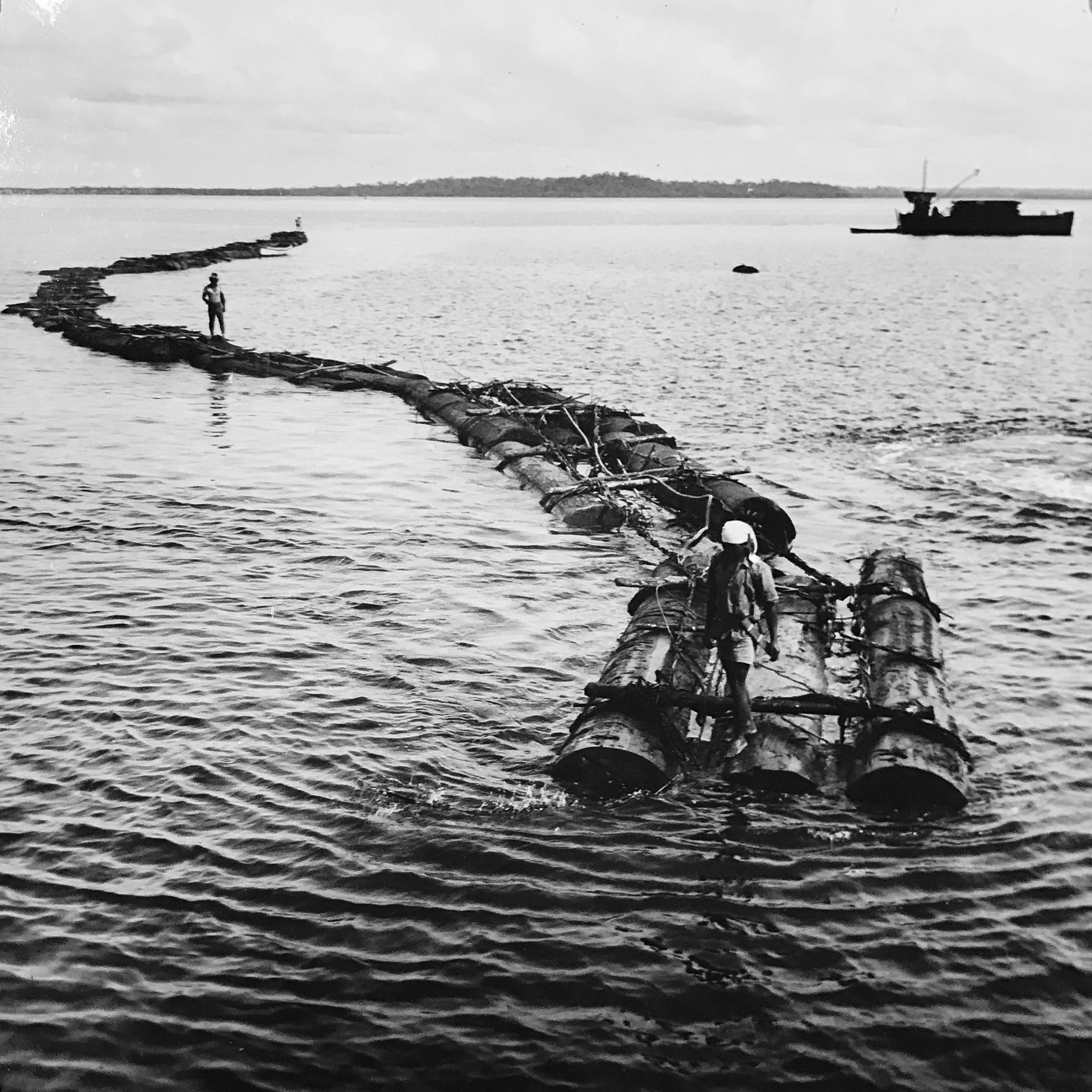 History - 2025-02-13